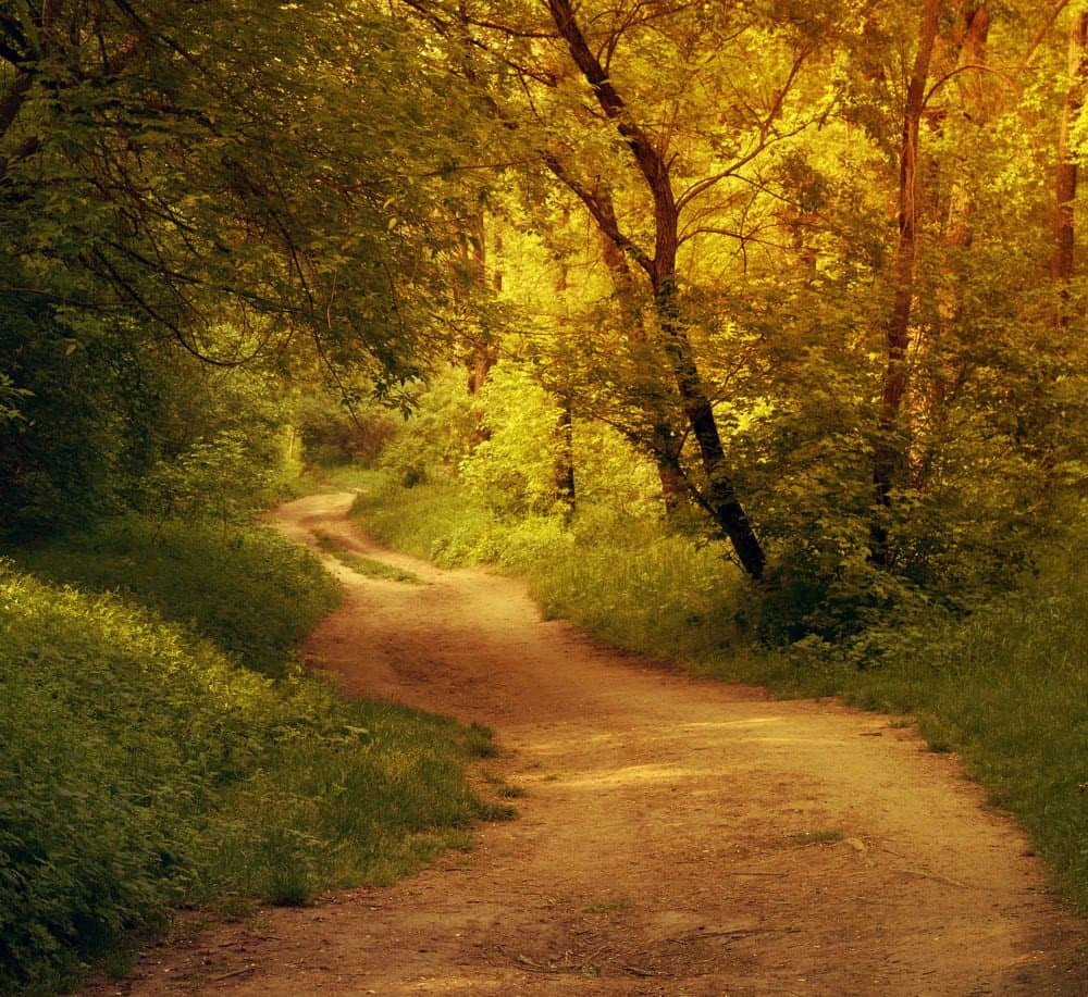 EMDR Therapy